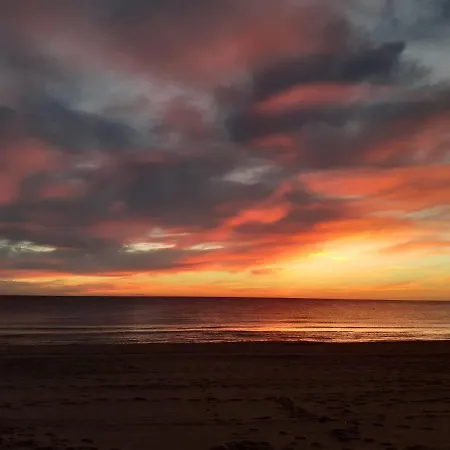 Estudio En Primera Linea De Playa * Daimus