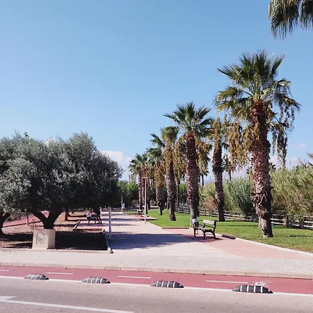 Estudio En Primera Linea De Playa Lägenhet Daimus