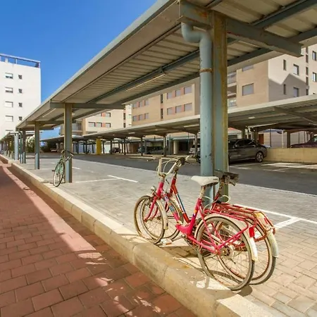 Estudio En Primera Linea De Playa Lägenhet *